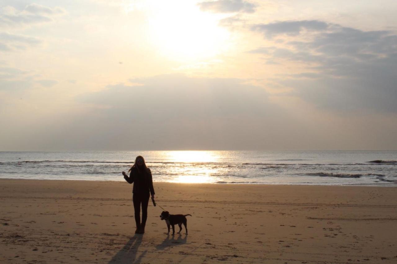 Bungalow Strandparel Julianadorp Ngoại thất bức ảnh